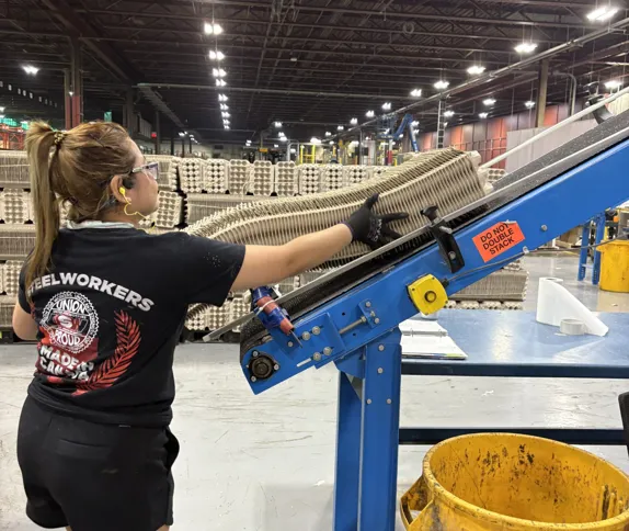 Krizia May Dumalaog, Hybrid Operator