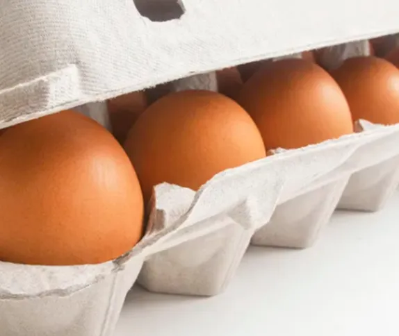 North American Product Overview