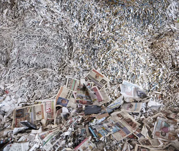 Our Environmental Responsibility